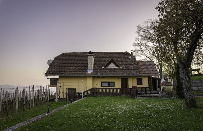 Vineyard Cottage Hocevar - Foto 24