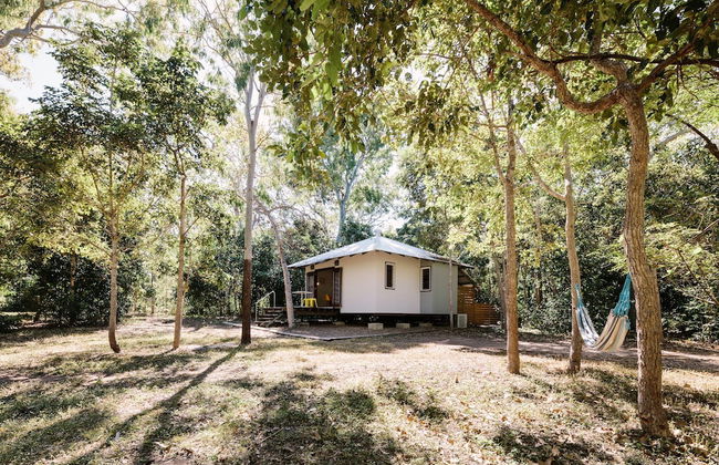 The Little Bush Hut - Foto 16