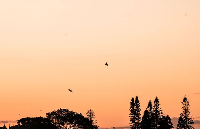 Terrigal Pacific Coastal Retreat - Foto 61