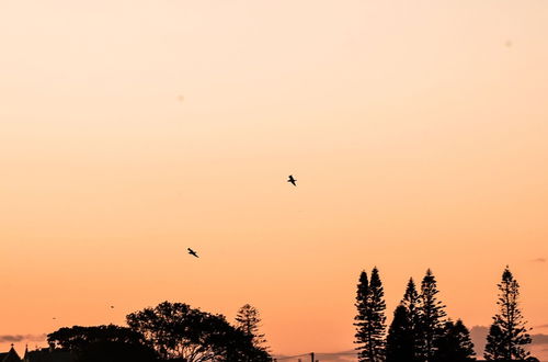 Photo 61 - Terrigal Pacific Coastal Retreat