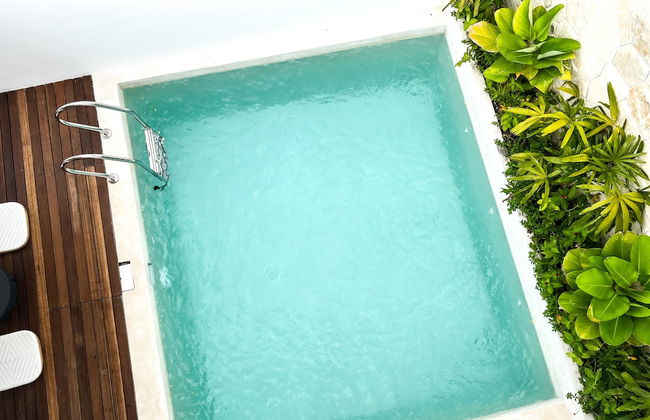 Botanique Villa & Studio - Foto 69