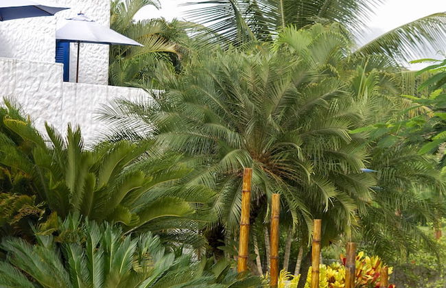 Green9 Hotel & Beach Resort Same - Foto 20