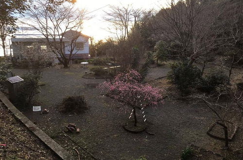 Photo 22 - Sakura Beach Garden