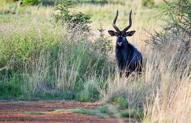 Elements Private Golf Reserve - Foto 64