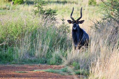 Photo 64 - Elements Private Golf Reserve