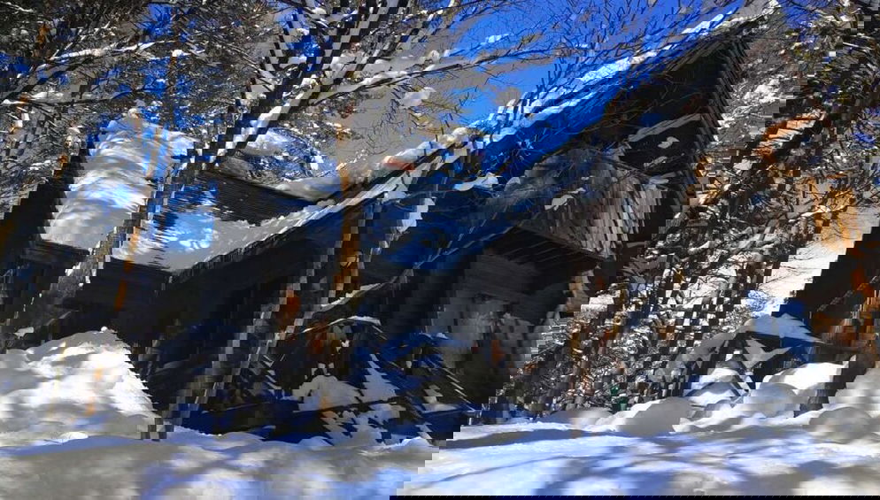 Primary image