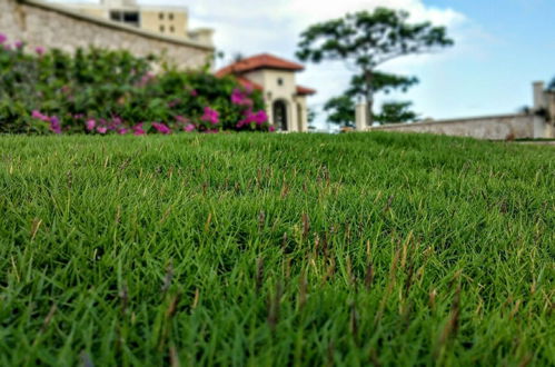 Photo 48 - Sunrise Villa On The Beach