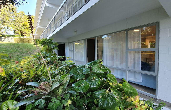 Herne Bay Gem Near Beach - Carpark - Photo 31