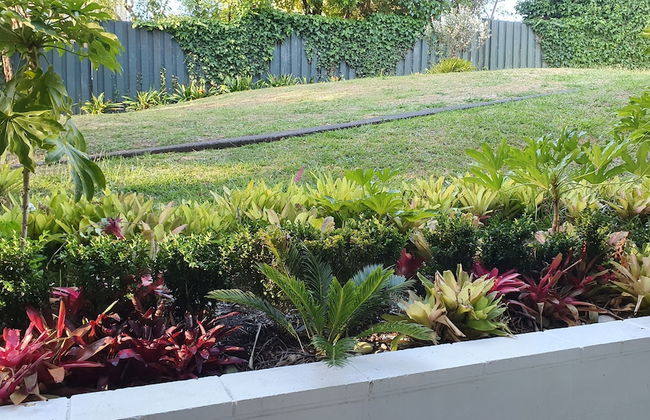 Herne Bay Gem Near Beach - Carpark - Photo 29