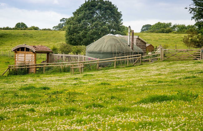 Mongolian Yurts Fordhall Organic Farm - Foto 24