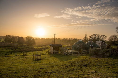 Photo 33 - Mongolian Yurts Fordhall Organic Farm