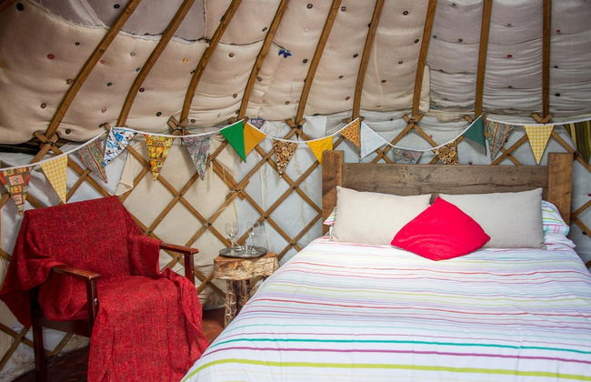 Mongolian Yurts Fordhall Organic Farm - Foto 1