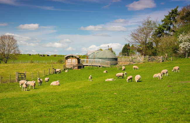Mongolian Yurts Fordhall Organic Farm - Foto 31
