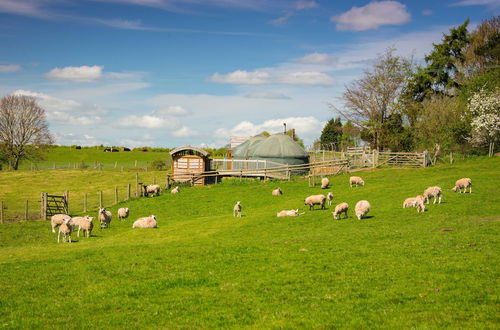 Photo 29 - Mongolian Yurts Fordhall Organic Farm