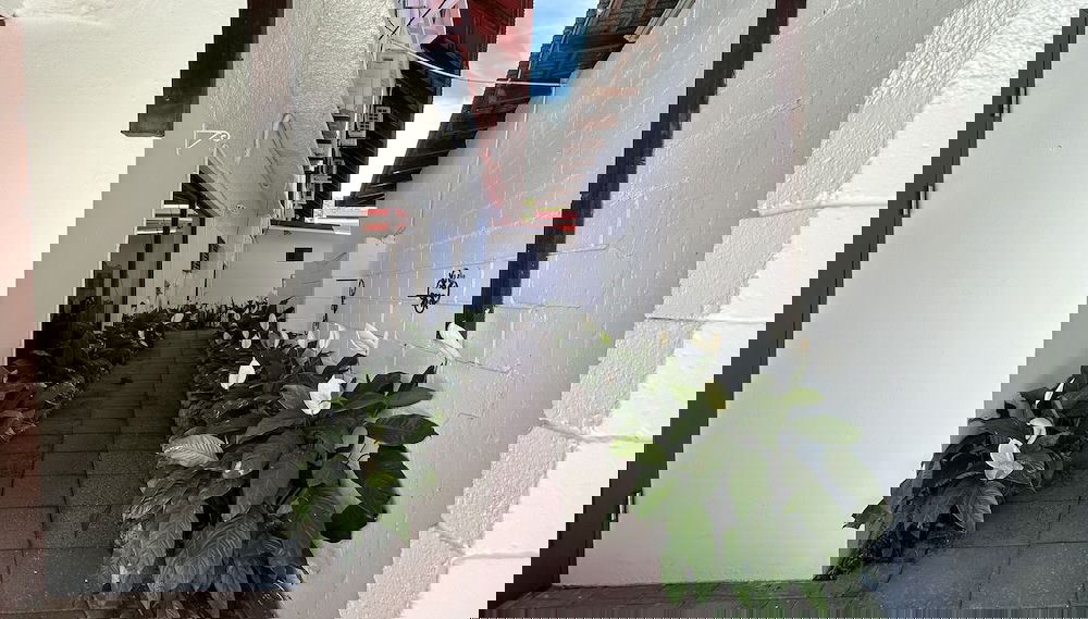 Imagem principal