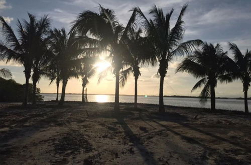 Photo 26 - Seabird Belize Vacation Rentals