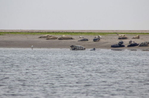 Photo 46 - Holiday Home in FanÃ¸