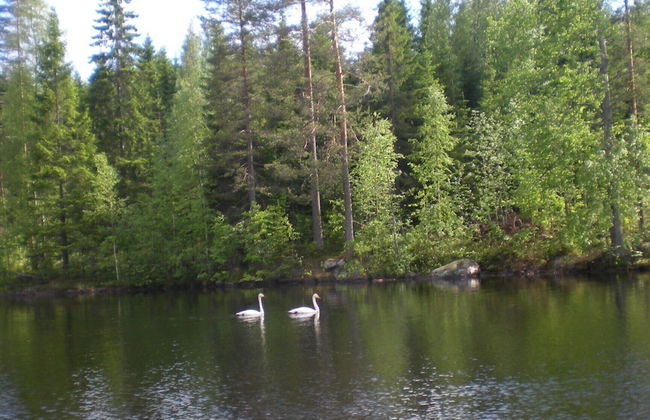 Kärkiniemi - Photo 27
