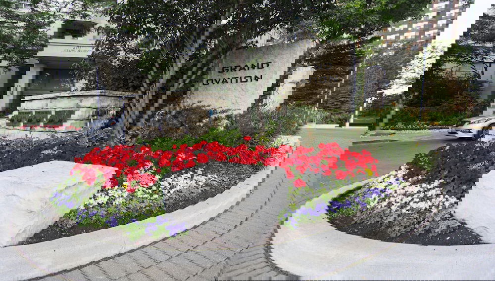 Primary image