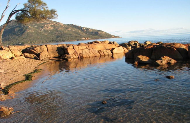 Pebble Shack - Photo 11