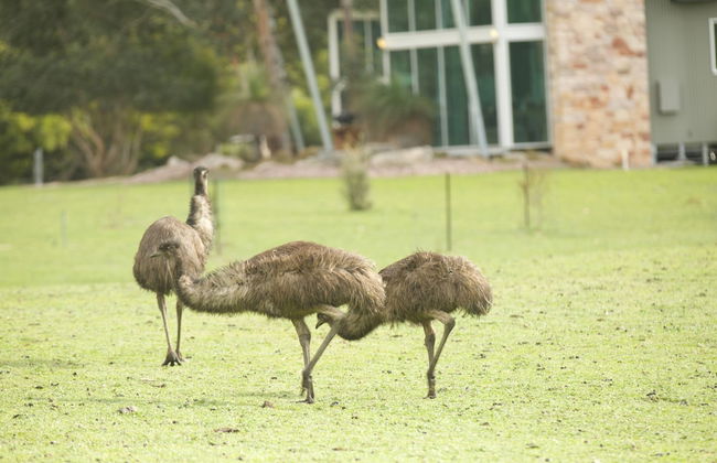 Bushland - Foto 13