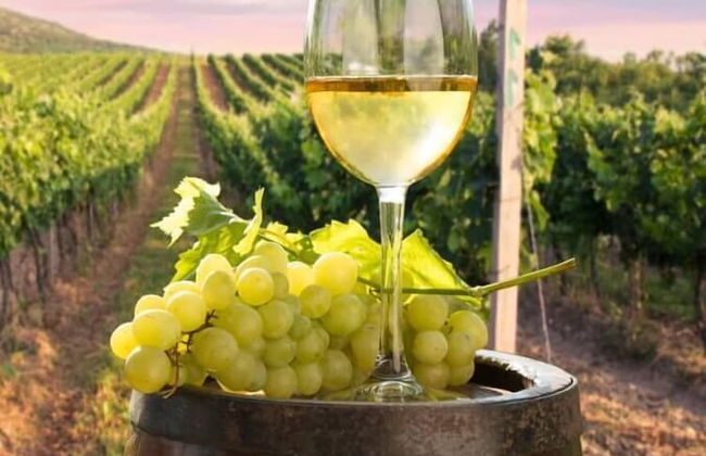 Eltham Retreat - Foto 56