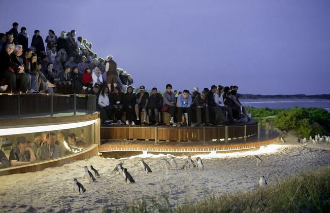 Phillip Island Towers - Foto 41