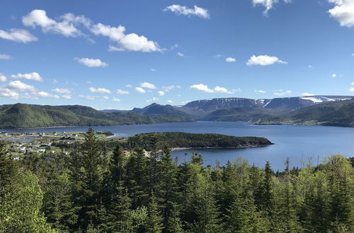 Foto 47 - Bonne Bay Cottages