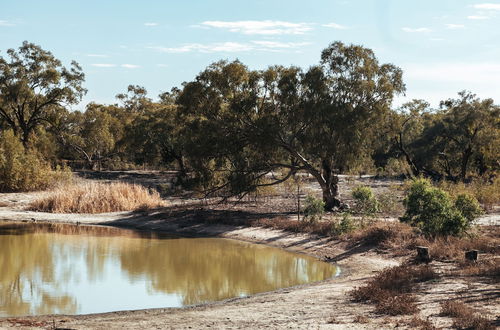 Photo 33 - Warrawong on the Darling