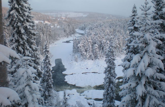 Ristafallets camping - Foto 23