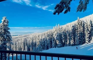 Foto 3 - Nest on Perfection - Newly Renovated Ski In Ski Out Mountain View Condo