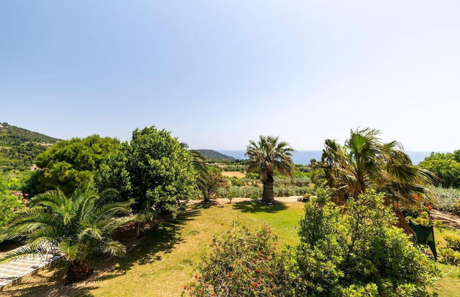 Villa Serenity Relaxing Retreat in Kymi Euboea - Foto 42