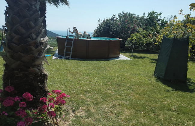 Villa Serenity Relaxing Retreat in Kymi Euboea - Foto 37