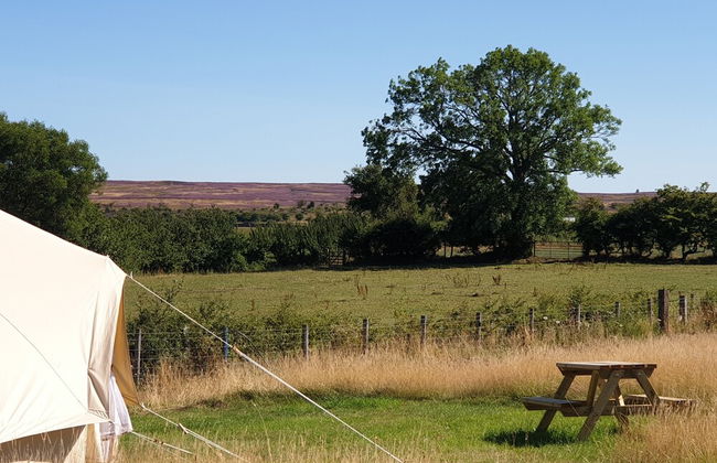 6m xl Bell Tent With log Burner, Near Whitby - Foto 7