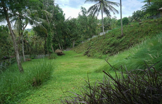 EM Hill Estate - Foto 40