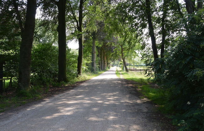 Cozy Holiday Home in Zelhem near Forest - Foto 7
