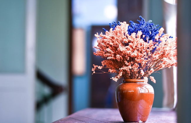 Homestay Sunny's House - Foto 14