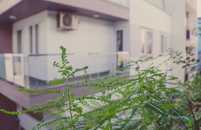 Homestay Sunny's House - Foto 10
