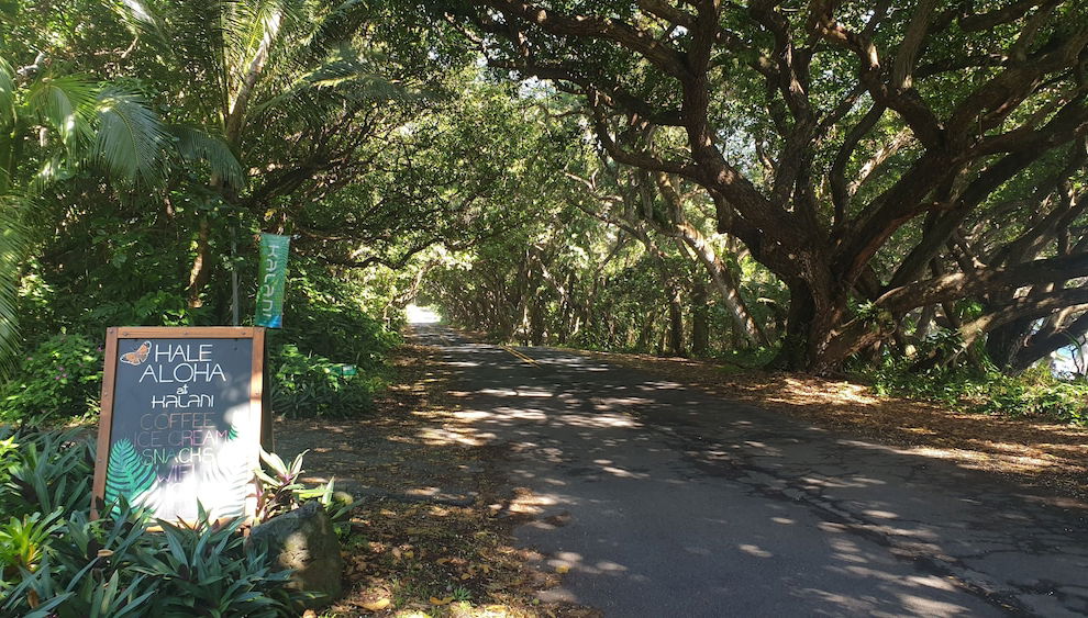 Check-in-/Check-out-Schalter