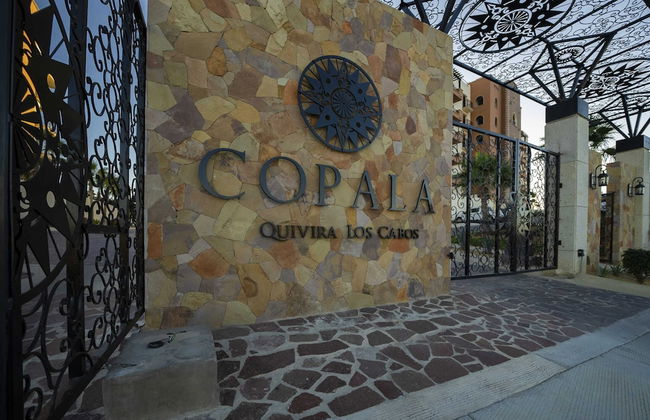 Cabo Beach Cottage, Oceanview, 35 off Quivira Golf - Direct Access to the Beach - Foto 27