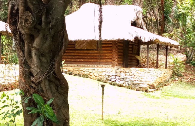 Sierraverde Cabins Rosewood - Photo 11