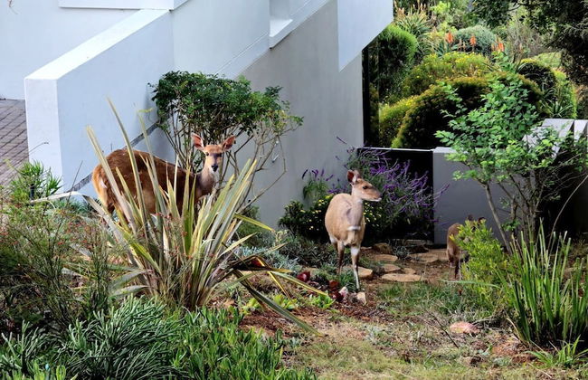 Oubaai Villa - Foto 76