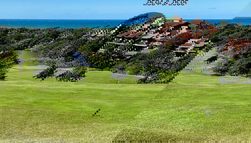 Imagem principal