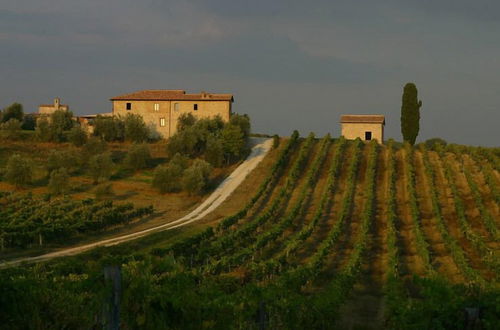 Photo 44 - Tenuta di Monaciano