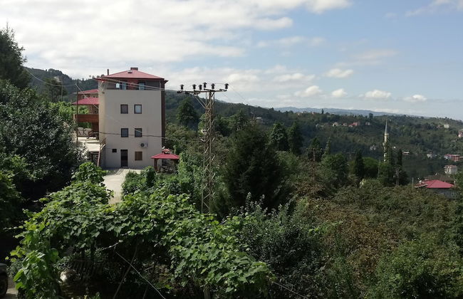 Akulnet 1 - Foto 1