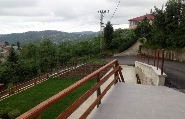 Akulnet 1 - Foto 44