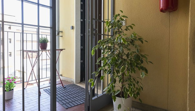 Ingresso interno