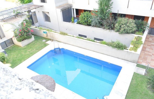 Sandía - Foto 10