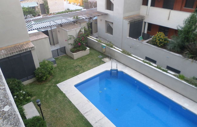 Sandía - Foto 11