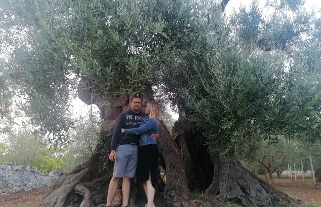 Agriturismo Salinola - Foto 53